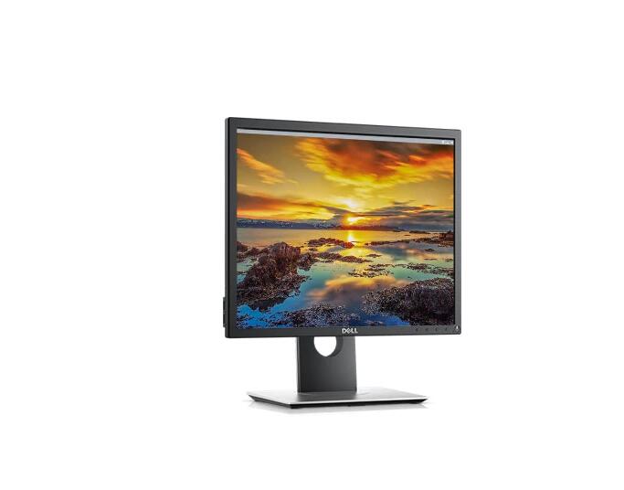 Dell 19英寸显示器| P1917S